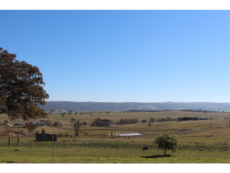 52 Marion Close, Wimbledon NSW 2795