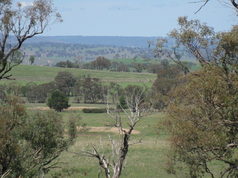 145 Mersing Road, Bathurst NSW 2795