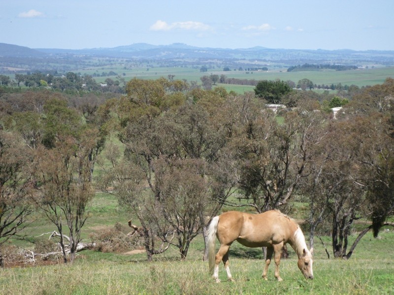 145 Mersing Road, Bathurst NSW 2795