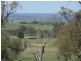 145 Mersing Road, Glanmire NSW 2795