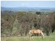 145 Mersing Road, Glanmire NSW 2795