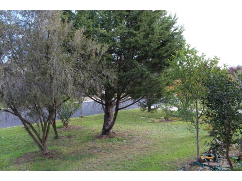 15 Cousins Place, Windradyne NSW 2795