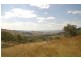 690 The Bridle Track, Bathurst NSW 2795