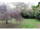 246 Hobbys Yards Road, Arkell NSW 2795