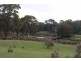 246 Hobbys Yards Road, Arkell NSW 2795