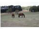 3490 Great Western Highway, Yetholme NSW 2795