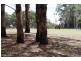 3490 Great Western Highway, Yetholme NSW 2795