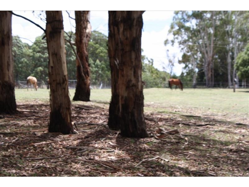 3490 Great Western Highway, Yetholme NSW 2795