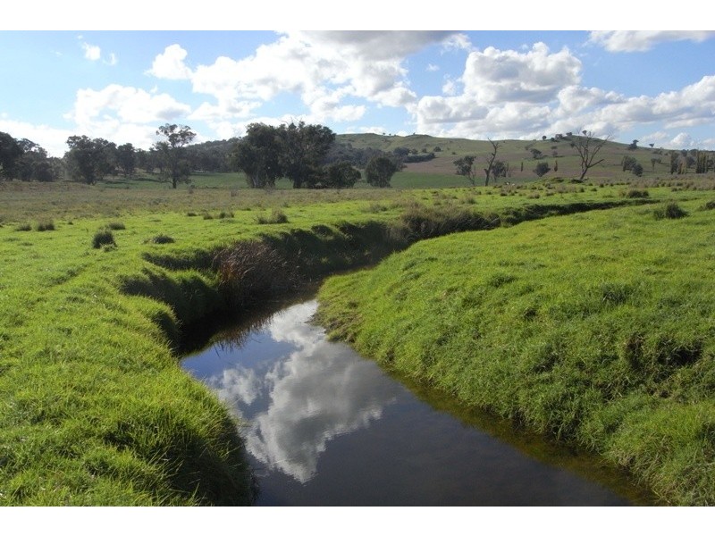 907 Darbys Falls Road, Cowra NSW 2794