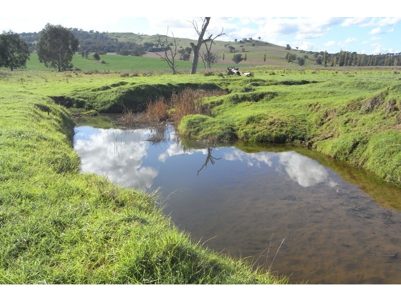 907 Darbys Falls Road, Cowra NSW 2794