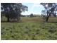 907 Darbys Falls Road, Cowra NSW 2794
