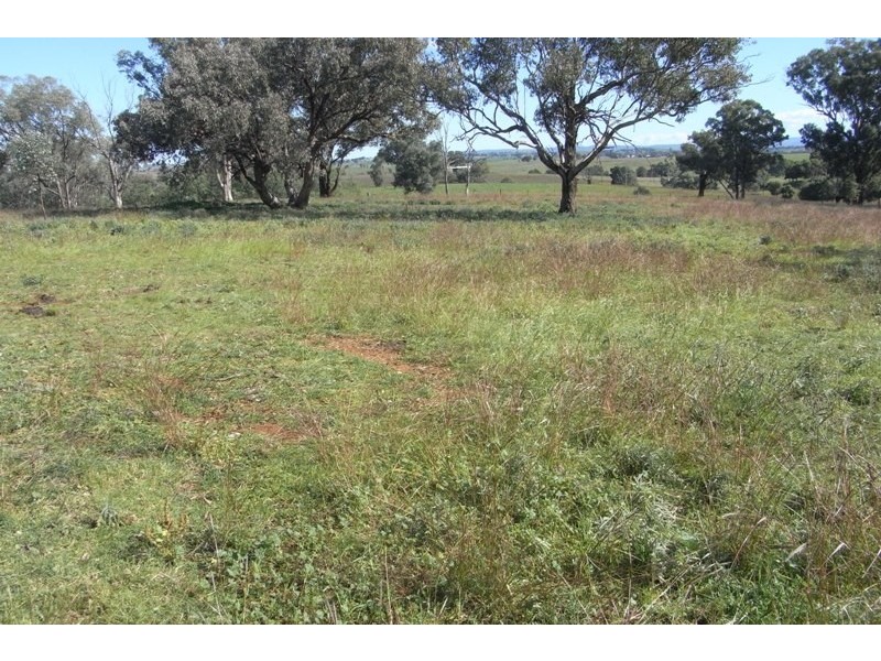 907 Darbys Falls Road, Cowra NSW 2794