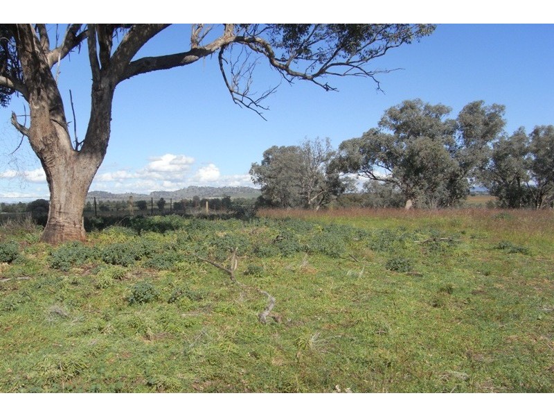 907 Darbys Falls Road, Cowra NSW 2794