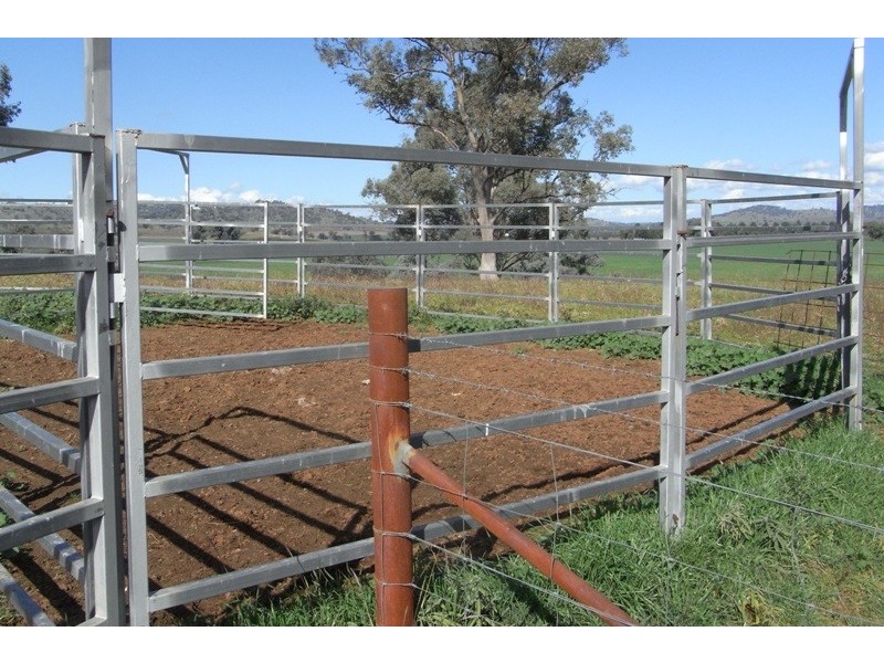 907 Darbys Falls Road, Cowra NSW 2794