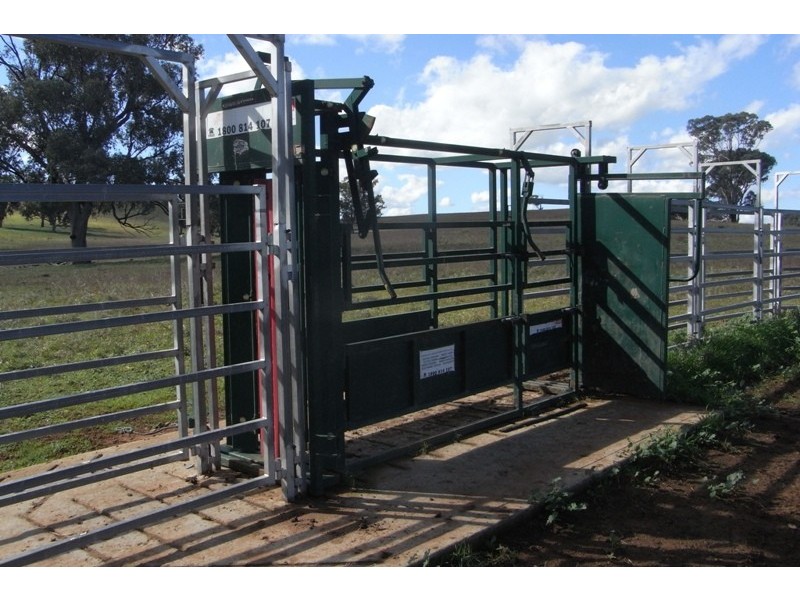 907 Darbys Falls Road, Cowra NSW 2794