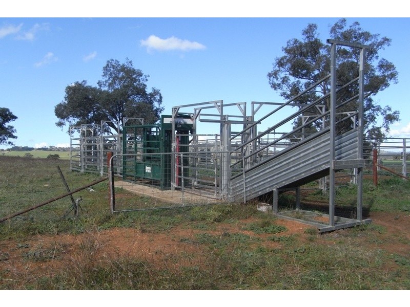 907 Darbys Falls Road, Cowra NSW 2794