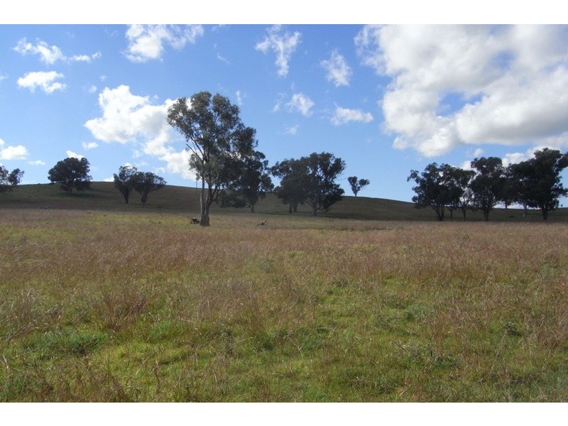 907 Darbys Falls Road, Cowra NSW 2794