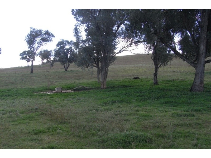 907 Darbys Falls Road, Cowra NSW 2794