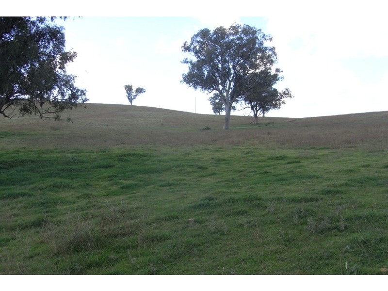 907 Darbys Falls Road, Cowra NSW 2794