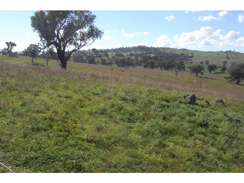 907 Darbys Falls Road, Cowra NSW 2794