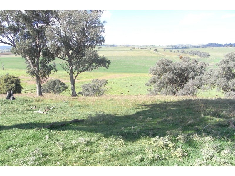 907 Darbys Falls Road, Cowra NSW 2794