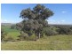 907 Darbys Falls Road, Cowra NSW 2794