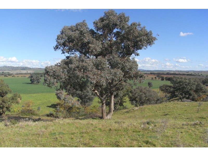 907 Darbys Falls Road, Cowra NSW 2794