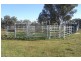907 Darbys Falls Road, Cowra NSW 2794