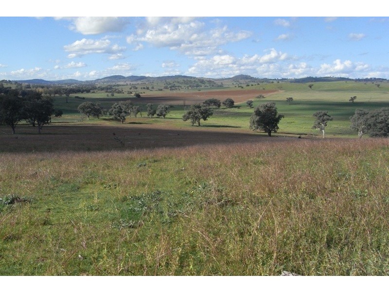 907 Darbys Falls Road, Cowra NSW 2794