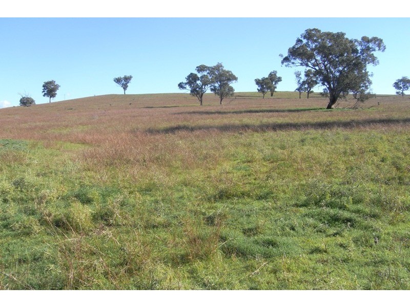 907 Darbys Falls Road, Cowra NSW 2794