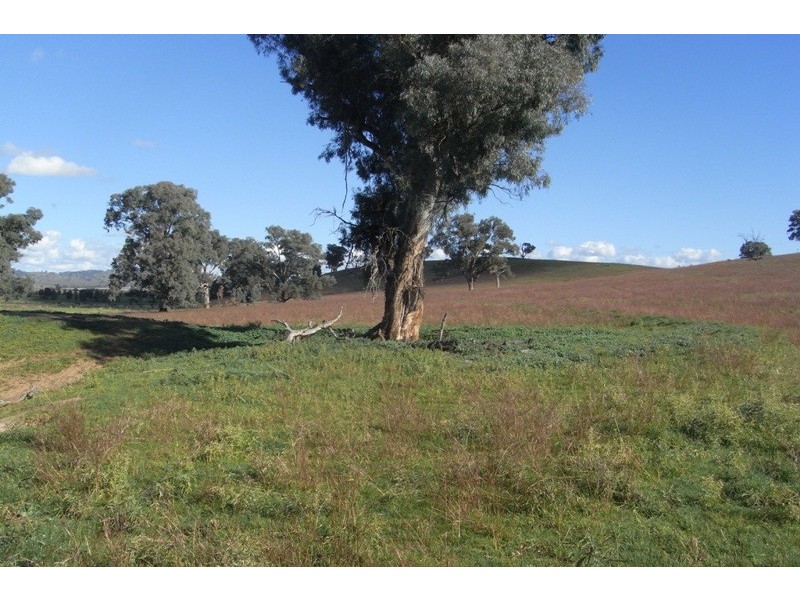 907 Darbys Falls Road, Cowra NSW 2794