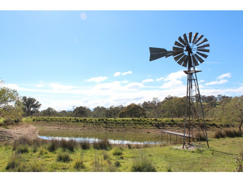 40 Bosworth Falls Road, Bathurst NSW 2795