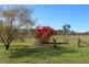40 Bosworth Falls Road, Bathurst NSW 2795