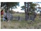 881 Hobbys Yards Road, Bathurst NSW 2795