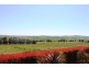 48 Carlyle Avenue, Llanarth NSW 2795