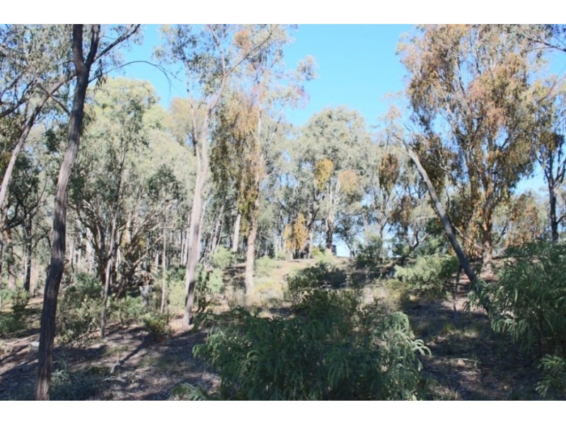 192 Colleen Hagney Lane, Peel NSW 2795