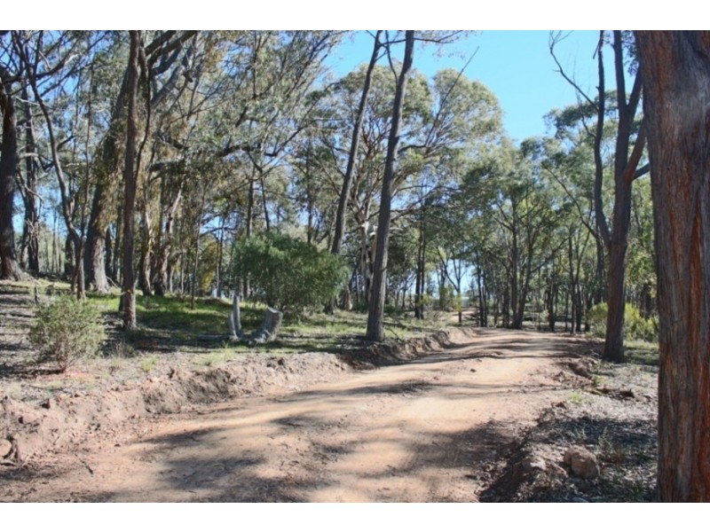 192 Colleen Hagney Lane, Peel NSW 2795