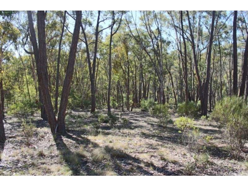 192 Colleen Hagney Lane, Peel NSW 2795