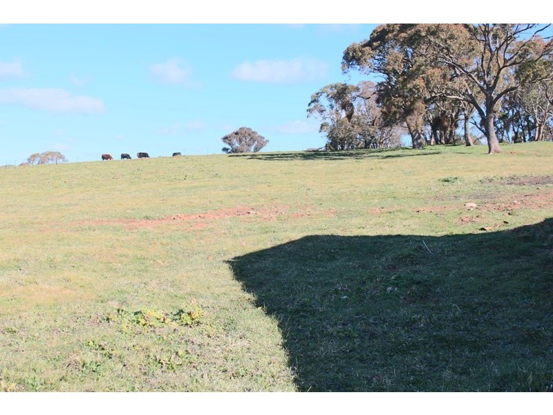 Bathurst NSW 2795