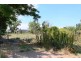 25 Carlingford Street, Bathurst NSW 2795