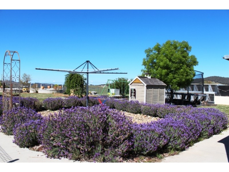 2031 Limekilns Road, Limekilns NSW 2795