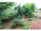 51a Morrisset Street, Bathurst NSW 2795