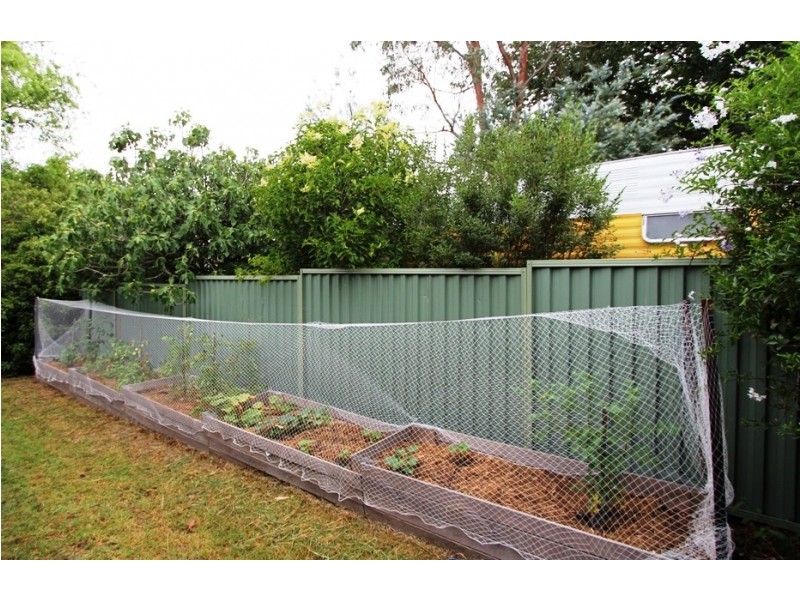 51a Morrisset Street, Bathurst NSW 2795
