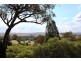 113 Pine Ridge Road, Bathurst NSW 2795