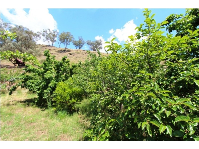 162 Quartz Ridge Road, Turondale NSW 2795