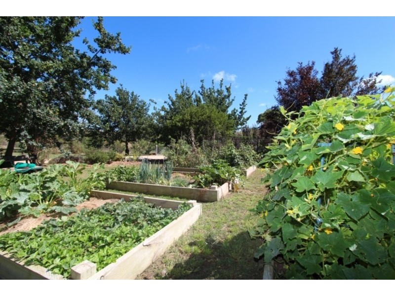 211 Rivulet Road, Peel NSW 2795