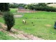 12 Jones Street, Carcoar NSW 2791