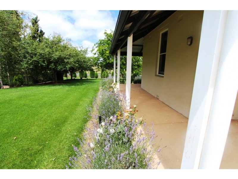 3390 O’Connell Road, O’connell NSW 2795