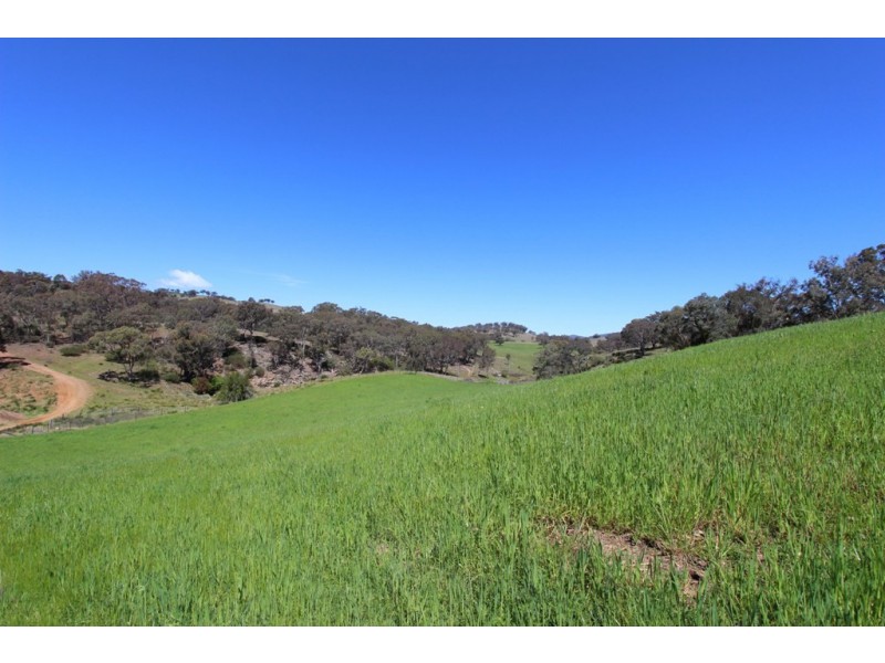 5215 Ilford Road, Bathurst NSW 2795