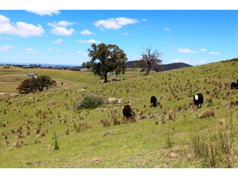 2227 Limekilns Road, Limekilns NSW 2795